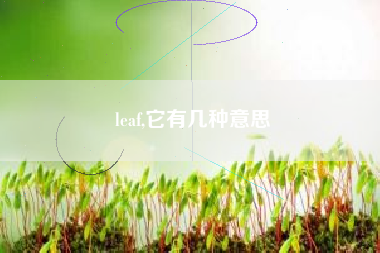 leaf,它有几种意思